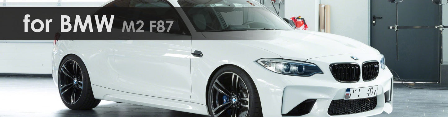 BMW M2 F87 Capristo Titelbild