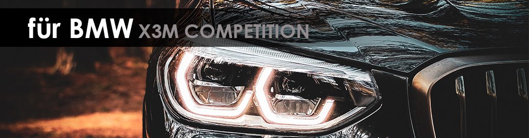 Capristo Klappenabgasanlage BMW X3M Competition ECE